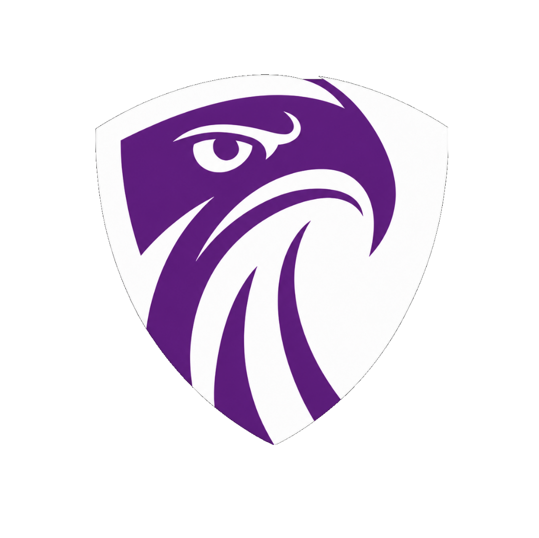 iSecurify Logo